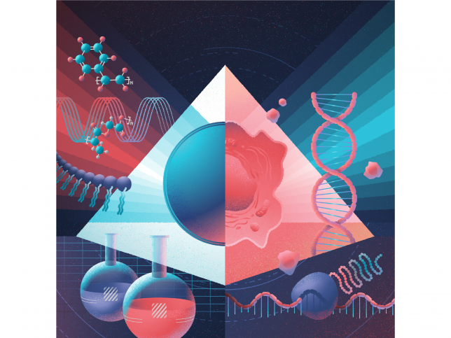 We use chemical and genomic screening tools to study the interactions of nanomaterials and living cells.